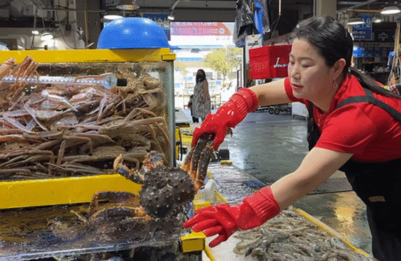 A급 러시아 레드 킹크랩(마리)