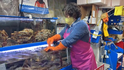 A급 러시아 레드 킹크랩(마리)