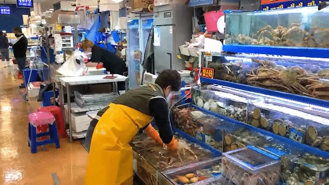 A급 러시아 레드 킹크랩(마리)